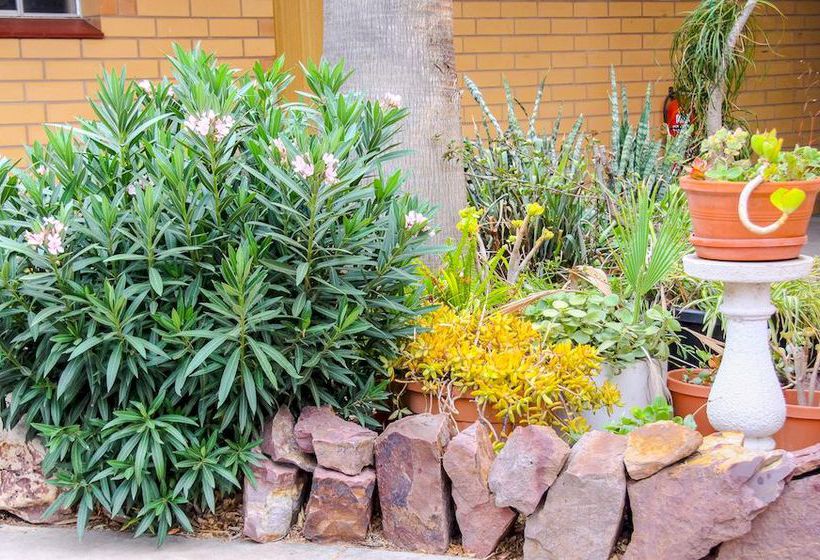 Motel Pampas | Port Augusta | South Australia | Australia 15