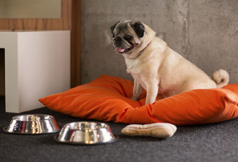 Alt Hotel Montreal Griffintown | Montreal | Quebec | Canada 15