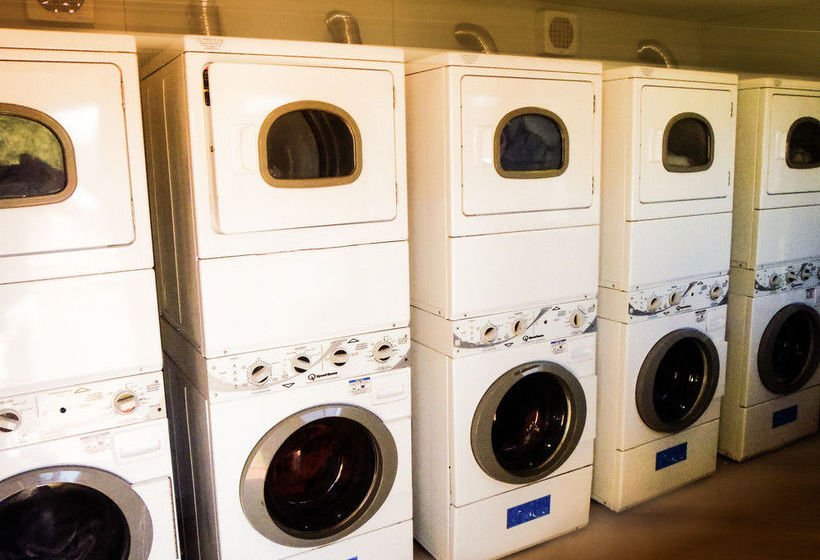 Spinifex | Derby | Western Australia | Australia 20