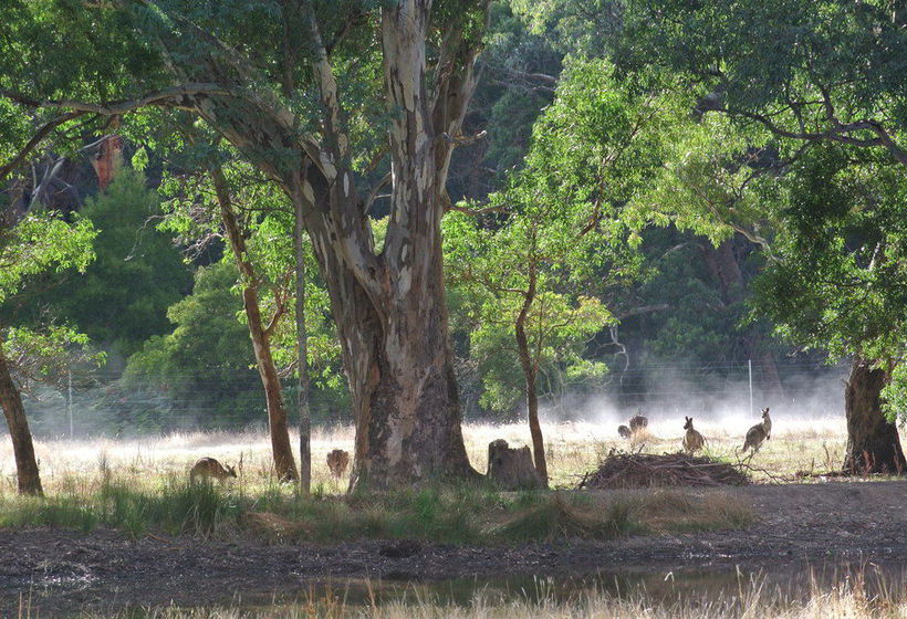 Motel Kookaburra Motor Lodge | Halls Gap | Victoria | Australia 6