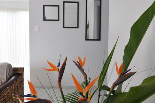 Alexandra Apartments | Bundaberg | Queensland | Australia 10