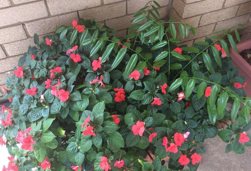 Toreador Motel | Coffs Harbour | New South Wales | Australia 4