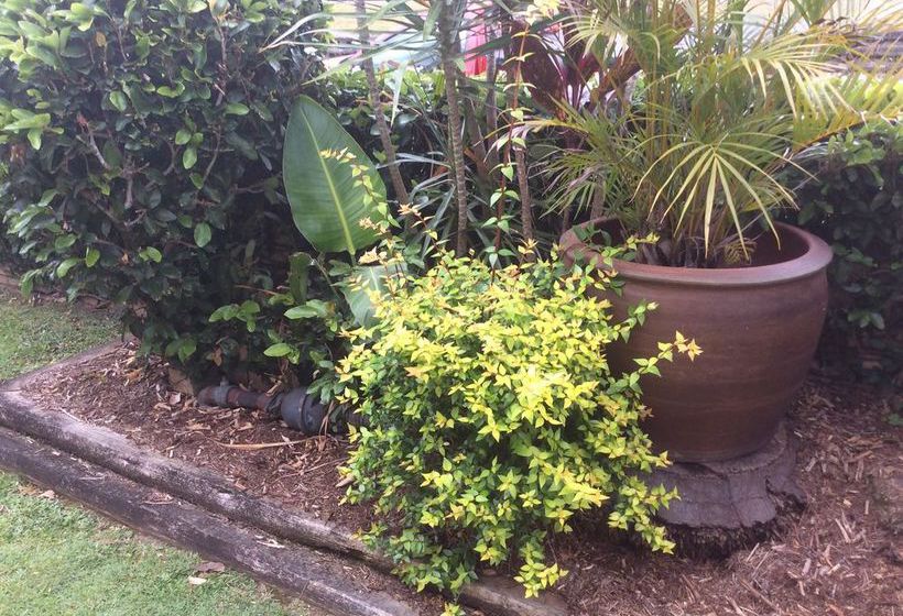 Toreador Motel | Coffs Harbour | New South Wales | Australia 9