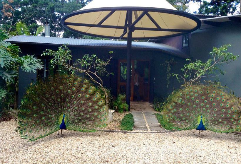 Hotel Azabu Boutique Accommodation Byron Bay Byron Bay