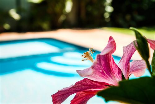 Coffs Harbour Holiday Apartments | Coffs Harbour | New South Wales | Australia 15