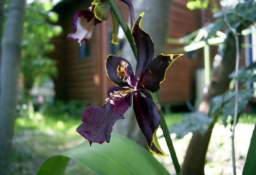 Planula Bed & Breakfast Retreat | Byron Bay | New South Wales | Australia 8