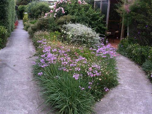 Cottages For Two | Cowes | Victoria | Australia 8