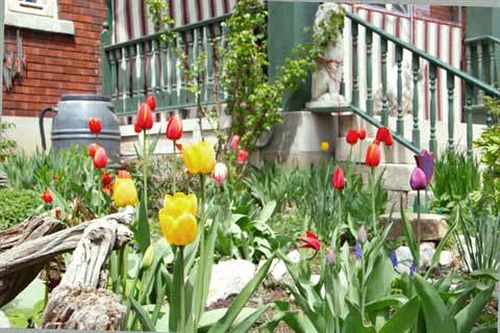 Downtown Bed & Breakfast & Spa | Ottawa | Ontario | Canada 5