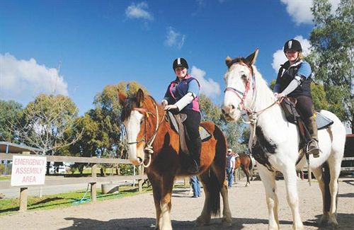 Motel The Georgian Motor Lodge | Echuca | Victoria | Australia 20