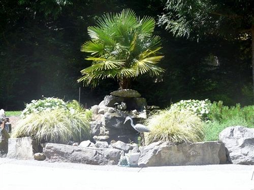 Bed and Breakfast Maple View | Nanaimo | British Columbia | Canada 5