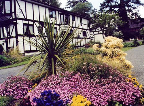 Bed and Breakfast Hemingway's By The Sea | Victoria | British Columbia | Canada 6