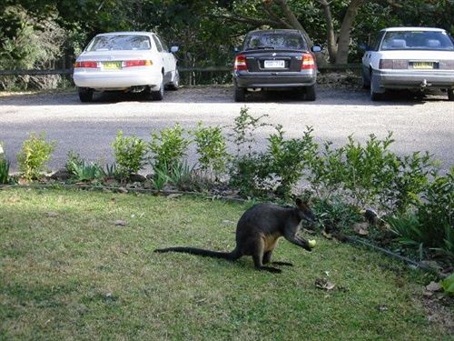 Pension Chalet Swisse Spa | Batemans Bay | New South Wales | Australia 11