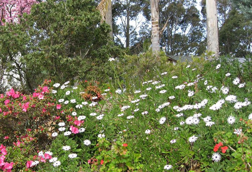 Pension Chalet Swisse Spa | Batemans Bay | New South Wales | Australia 4