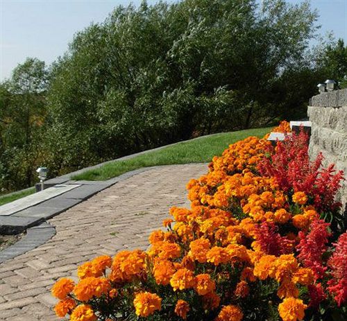 Riverview Bed & Breakfast | Okotoks | Alberta | Canada 10