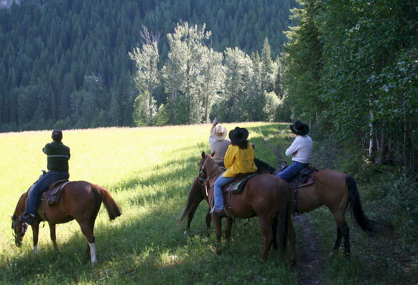 Resort Vagabond Lodge | Golden | British Columbia | Canada 19