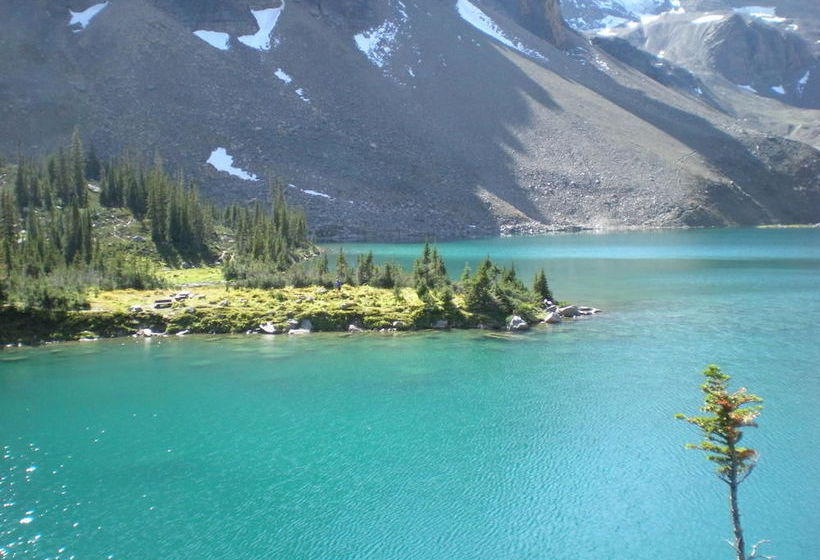 Resort Vagabond Lodge | Golden | British Columbia | Canada 9