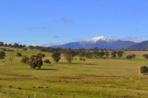 Motel Merrijig Motor Inn Resort | Merrijig | Victoria | Australia 4