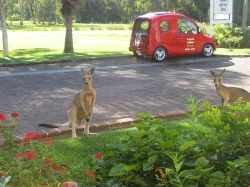 Aston Motel Yamba | Yambayamba | New South Wales | Australia 18