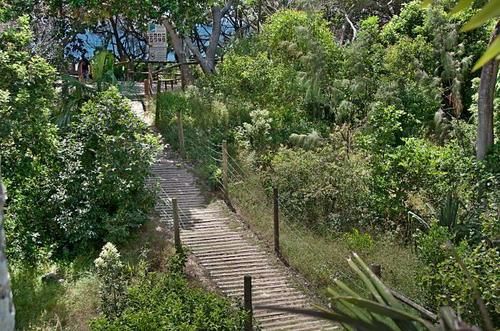 Beachcomber On The Spit | Mooloolaba | Queensland | Australie 12