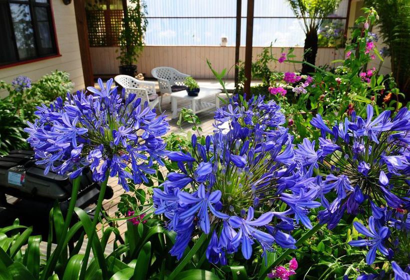 The Crays Accommodation | Strahan | Tasmania | Australia 15