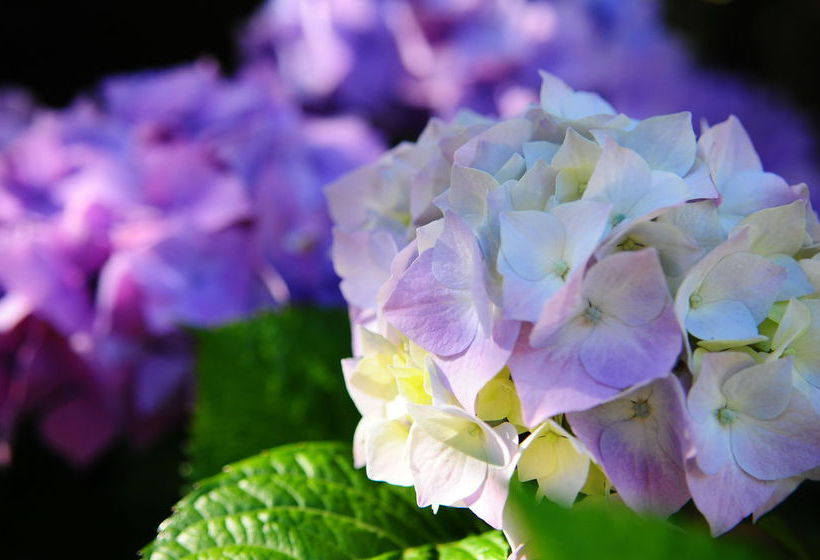 The Crays Accommodation | Strahan | Tasmania | Australia 16