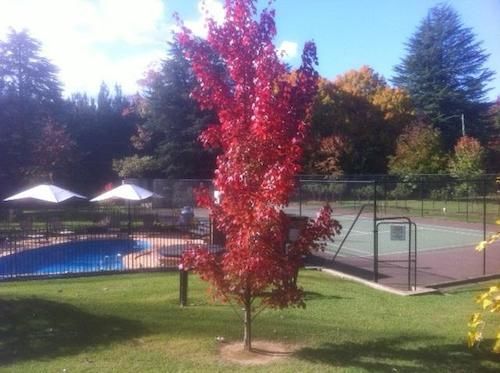 Chestnut Tree Holiday Apartments | Bright | Victoria | Australia 2