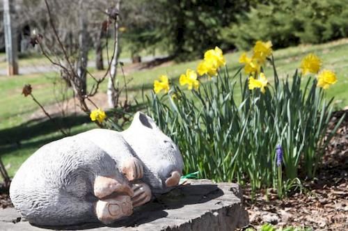 Bright Mystic Valley Holiday Units | Bright | Victoria | Australia 11