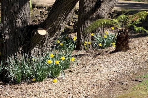 Bright Mystic Valley Holiday Units | Bright | Victoria | Australia 9