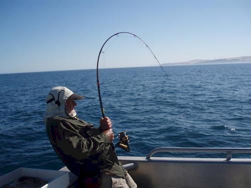 Cape Jervis Holidays Unitis | Cape Jervis | South Australia | Australia 9