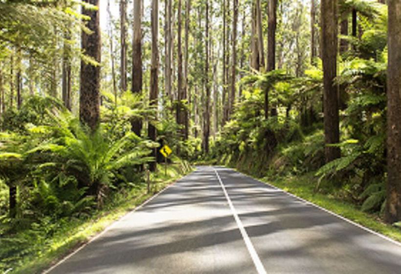 Vibe Hotel Marysville | Yarra Valley | Victoria | Australia 19