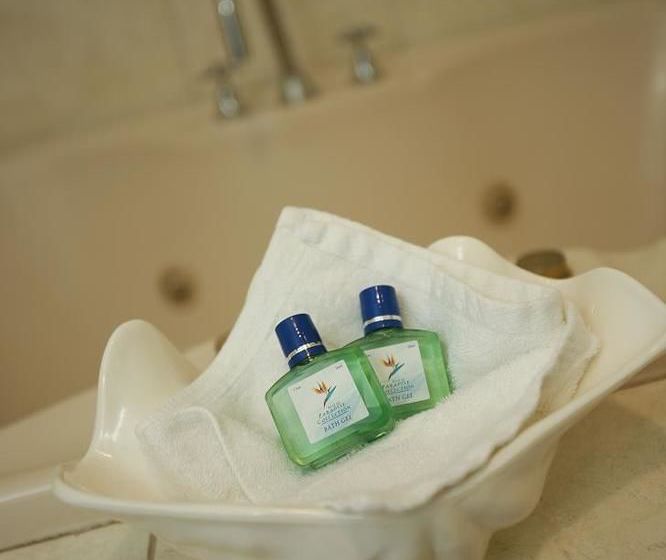 Motel Australian Heritage Motor Inn Dubbo | Dubbo | New South Wales | Australia 12