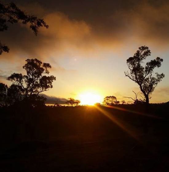 Pension Petersons Armidale Winery And Guesthouse | Armidale | New South Wales | Australia 17