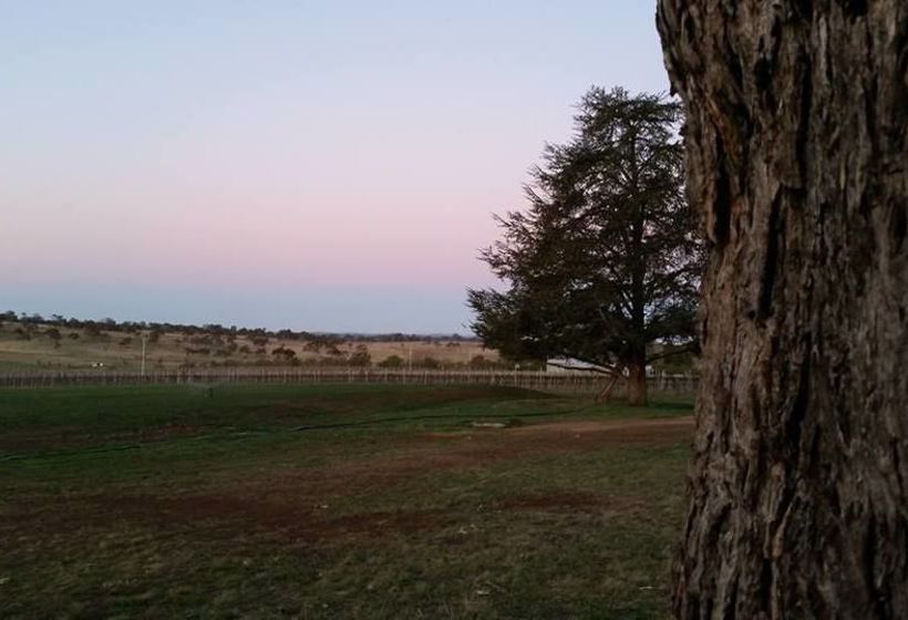 Pension Petersons Armidale Winery And Guesthouse | Armidale | New South Wales | Australia 7