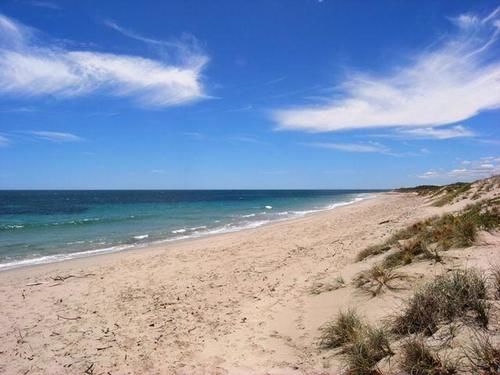 Hotel Seaspray Beach Holiday Park | Dongara | Western Australia | Australia 5