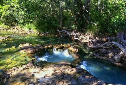 Hotel Kookaburra Holiday Park | Cardwell | Queensland | Australia 1