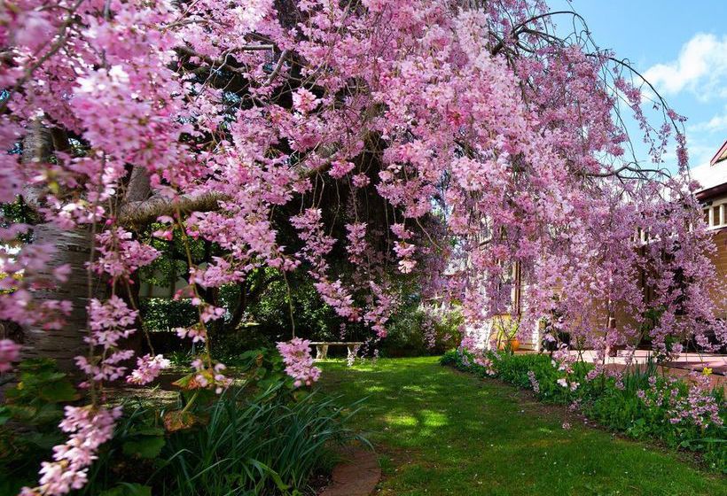 Hotel The Dudley | Hepburn Springs | Victoria | Australia 11