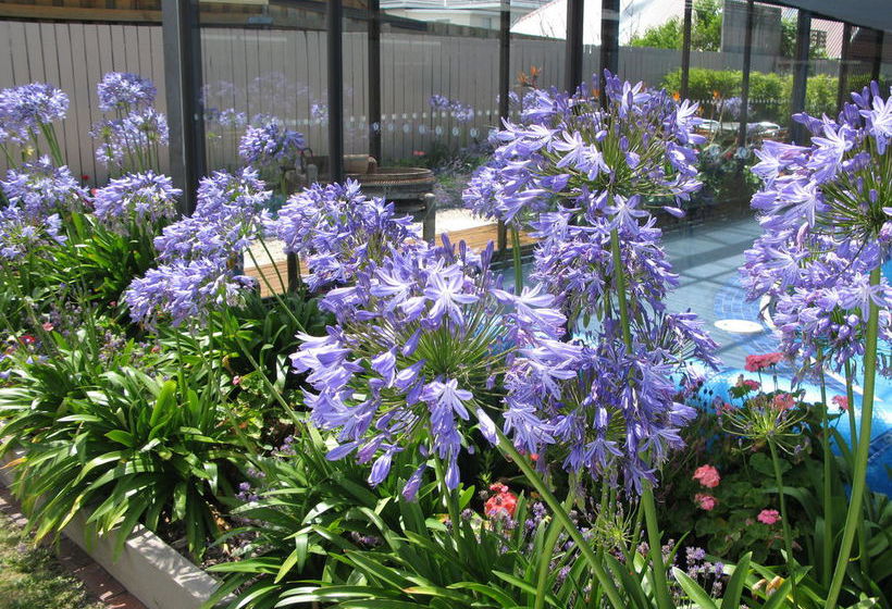 Motel Barclay Motor Inn Devonport | Devonport | Tasmania | Australia 14