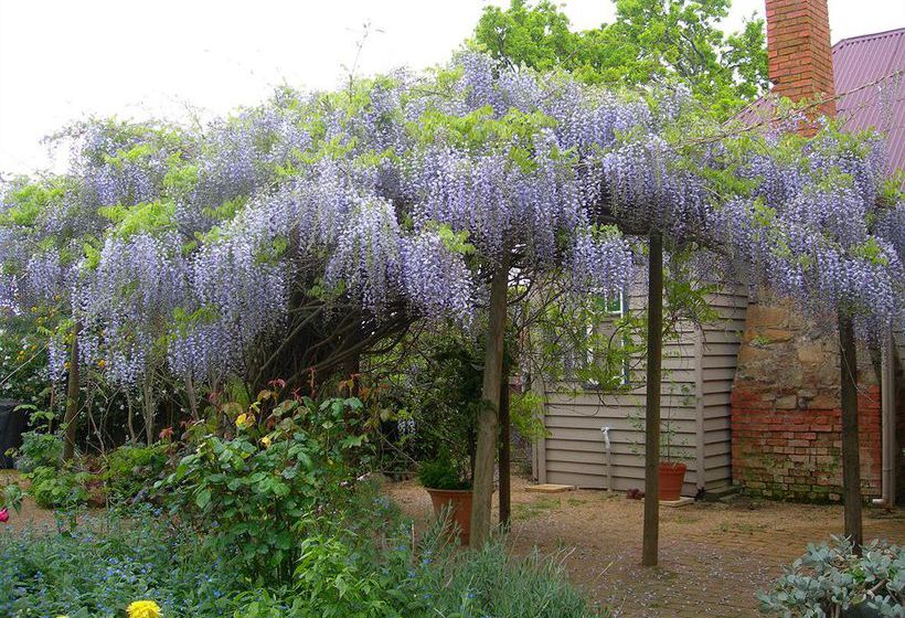 Bed & Breakfast Redcliffe House