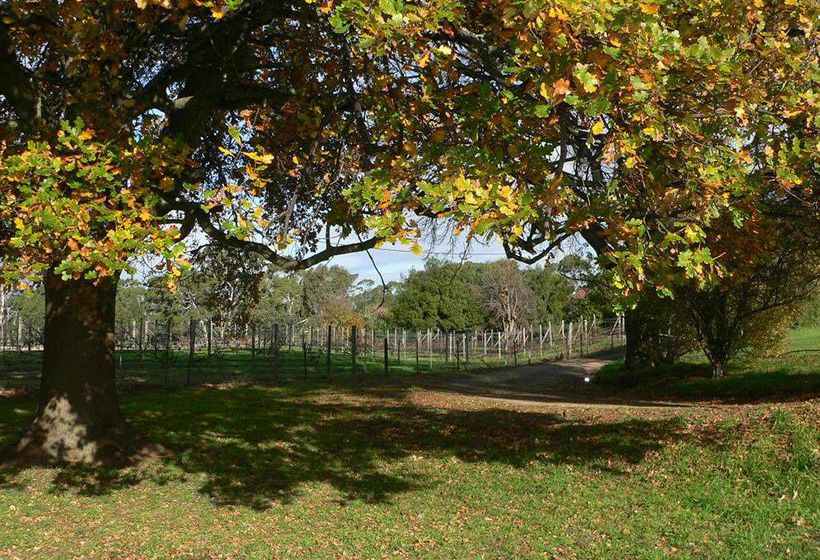 Bed & Breakfast Redcliffe House | Swansea | Tasmanien | Australien 5