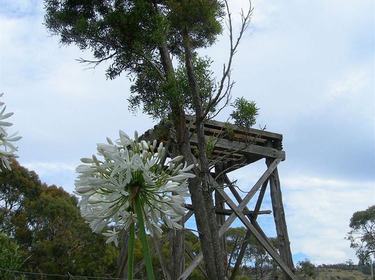 Bed & Breakfast Redcliffe House | Swansea | Tasmanien | Australien 9