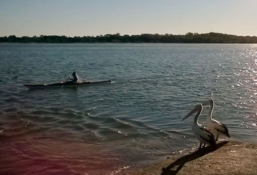 Wunpalm Motel & Holiday Cabins | Maroochydore | Queensland | Australia 19