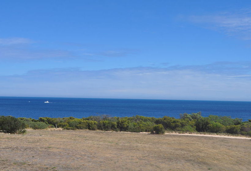 The Fig Tree B & B | Baudin Beach | South Australia | Australia 5