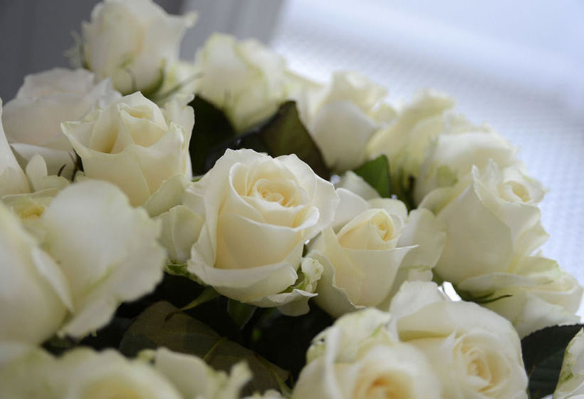 Bed and Breakfast Heal House | New Farm | Queensland | Australia 14