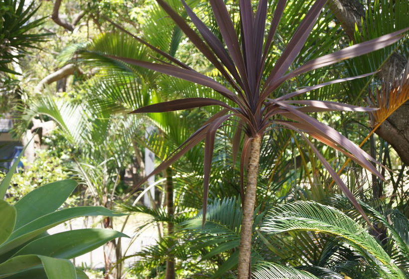 Parkshores Sunshine | Sunshine Beach | Queensland | Australia 11