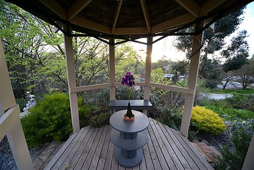 Bed and Breakfast Riesling Trail And Clare Valley Cottages | Clare | South Australia | Australia 15