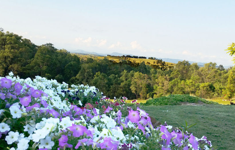 Bed and Breakfast Wine Country Villas | Pokolbin | New South Wales | Australia 20