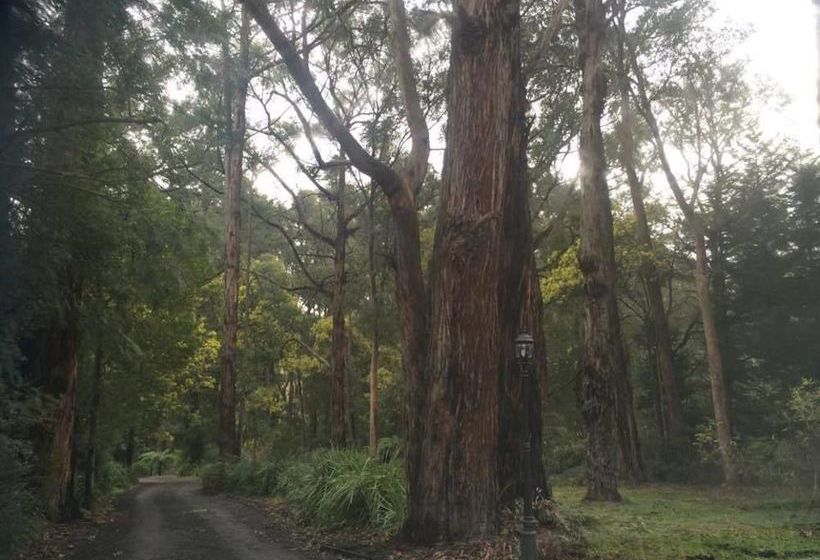 Wattle Tree Creek Cottages