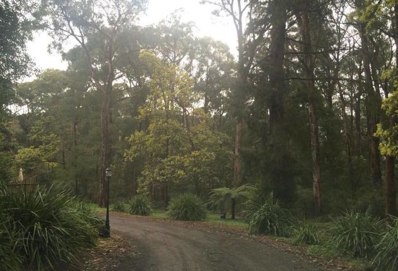 Wattle Tree Creek Cottages | Melbourne | Victoria | Australia 11