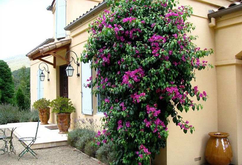 Casa Valeri | Warburton | Victoria | Australia 1