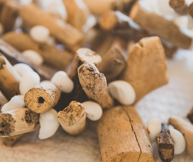 Allara Homestead Bed And Breakfast | Flaxton | Queensland | Australia 12